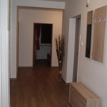 Vodickovi Apartment Luhacovice