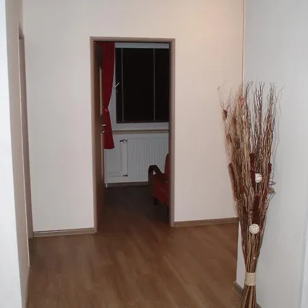 Vodickovi Apartment Luhacovice