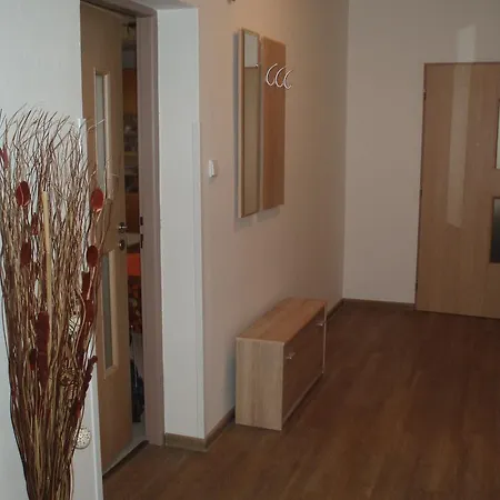 Vodickovi Apartment Luhacovice